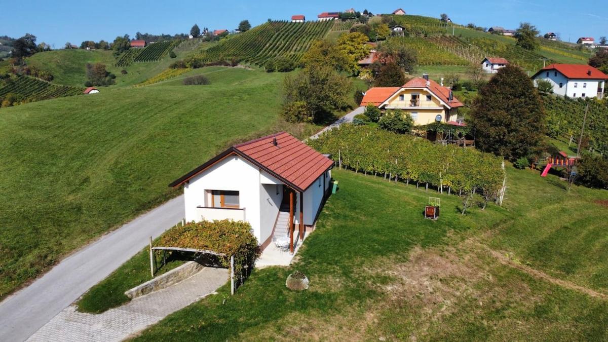 Holiday House Zlacka Gorca Pristava pri Mestinju Exterior foto