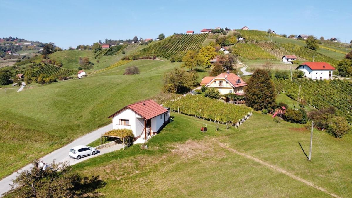 Holiday House Zlacka Gorca Pristava pri Mestinju Exterior foto